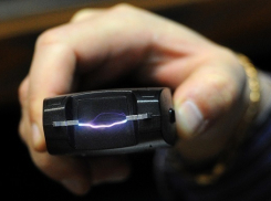 В Краснодаре педиатр, приехав на вызов, выстрелила в щенка из шокера