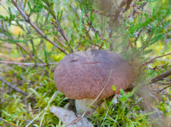 Актуальный Краснодар сегодня: Михайлово чудо. До +28 и менее 97. Выясняем отношения, обнимаемся, ждем приятных сюрпризов и болеем за «Краснодар» 