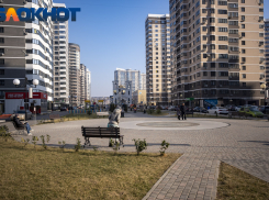 Перенаселение, амброзия и жара: переехавший в Калининград россиянин рассказал о плюсах и минусах жизни в Краснодаре