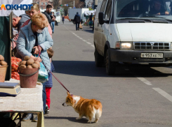 Краснодарцы показали достаточно хороший уровень самоизоляции 