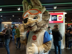 Выставка, посвященная ЧМ-2018, откроется в Краснодаре