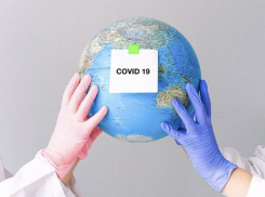 На Кубани 20 марта COVID подтвердили у 542 человек
