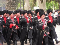 На Кубани численность казаков выросла до 49 тысяч