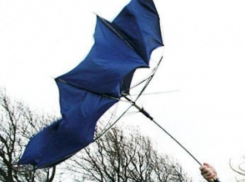 В субботу на Кубани пасмурно, но тепло, дует сильный ветер