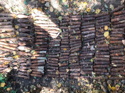 Грибник обнаружил в лесу Крымского района 170 боеприпасов времен войны