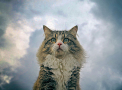 На Кубани пасмурно, температура воздуха снижается 