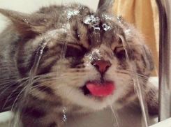 В Краснодаре в ноябре установлен температурный рекорд 