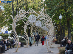 Краснодарцев вновь обрадует потепление