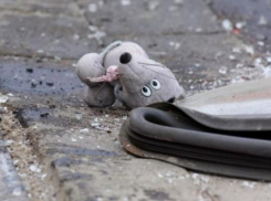 Водитель на иномарке сбил ребенка в Краснодаре