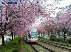 Маршрут двух трамваев изменится из-за ремонтных работ у Краснодарской ТЭЦ