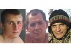 В России более 15,5 тысяч человек потребовали пожизненного заключения убийцам аниматоров в Краснодарском крае