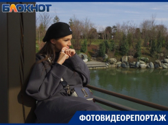 По извилистым дорожкам к озёрам, водопадам и храмам: видеопутешествие по Японскому саду Краснодара 