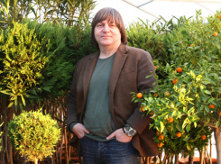 Бывший сотрудник госпредприятия краевой администрации признался в организации DDOS-атаки