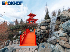 Краснодарцы предупредили о длительном ожидании QR-кодов для входа в Японский сад 