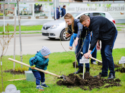 В «Губернском» и «Панораме» во время Всекубанского субботника высадили 100 фамильных деревьев