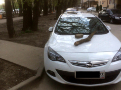 В Краснодаре неправильно паркующихся автомобилистов наказали с помощью кирпичей и бревен