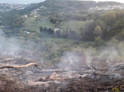 В Сочи выгорела дотла лесополоса