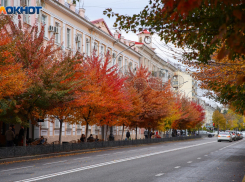В Краснодаре потеплеет до +20 градусов в последний рабочий день 