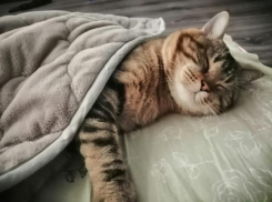 Дождь, град и шквалистый ветер ожидаются в Краснодарском крае в субботу