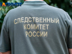«Няня снимала порно с ребёнком на телефон»: скандальную историю в Краснодаре проверит СК