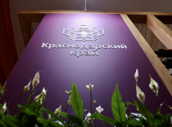 На ПМЭФ-2023 Краснодарский край подписал инвестиционных соглашений на сумму свыше 310 млрд рублей