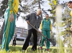 В Краснодаре появилась аллея Олимпийской славы