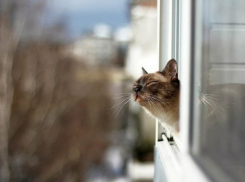  Дождь на Кубани наконец-то прекратится 