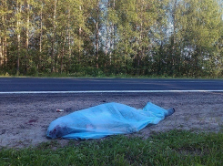 На Кубани задержан водитель-убийца