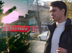 Живая или искусственная: какую елку выберут краснодарцы в 2020 году 