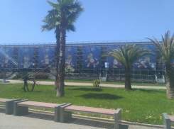 Сочинский «Сириус» могут сделать первой федеральной территорией в России 