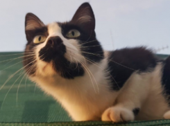 Температура воздуха в Краснодарском крае упадет до -7 градусов