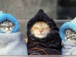 Небольшие осадки и мороз придут на Кубань 