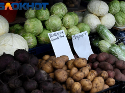 Цены на овощи в Краснодарском крае падают второй месяц подряд