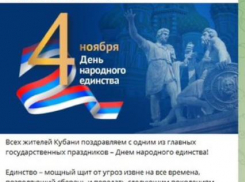 Депутат гордумы Краснодара празднует День народного единства с флагом Сербии