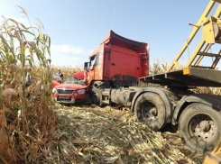 Крупная авария на Кубани: столкнулось семь автомобилей
