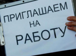 В Краснодаре предложат рабочие места переселенцам из Украины