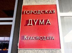 Рейтинг активности большинства депутатов гордумы Краснодара оказался на нуле 