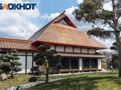 Главное в Краснодаре: «легкие» города продали, Замок на Затоне плесневеет, в Японский сад не попасть, военные летают, а пленных украинцев отпустили