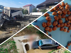 Стихийные наводнения, смягчение ограничений для туристов и нашествие насекомых: чем запомнится прошедшая неделя на Кубани