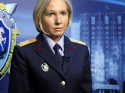 СК опроверг версию о перегрузке Ту-154 в Сочи