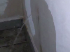 «Лишь бы не рухнул»: сквозь стены в многоэтажке течет вода из реки Кубань