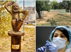 Итоги дня: засохший Дмитриевский сквер, незаконный Ёшкин кот и прекращение поисков пропавшей школьницы