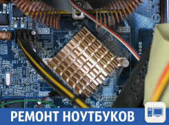 В Краснодаре появились благородные люди, ремонтирующие ноутбуки «на репутацию»