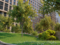 О жилом комплексе «Царская Площадь»