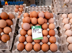 Куриные яйца «скакнули» в цене сразу на 6% в Краснодарском крае
