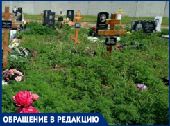 Кладбище в хуторе Копанском Краснодара утопает в амброзии