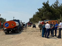 Мощный пожар охватил 9 га леса возле села Кабардинка на Кубани