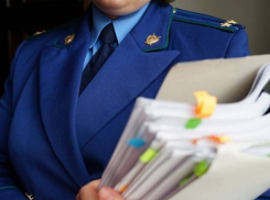 Прокуратура Кубани проверяет доходы чиновницы, владеющей 6-ю миллионами квадратных метров земли