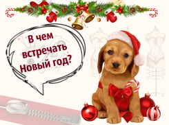 В чем встречать Новый год 2018?