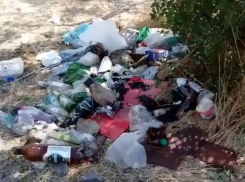  Туристы изрядно загадили заповедник Большой Утриш